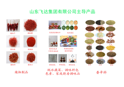 匠心調(diào)味，點(diǎn)亮每一餐——全方位解析調(diào)味品產(chǎn)品與生產(chǎn)工藝